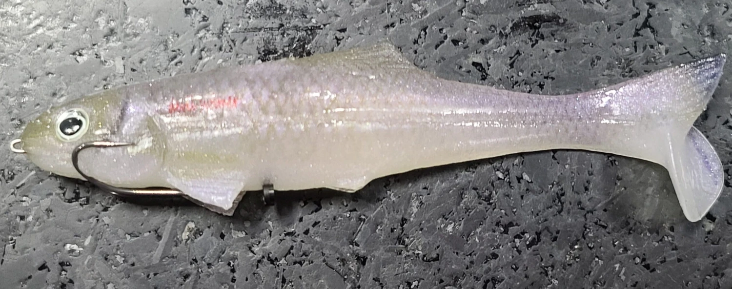 Devil Swimmer 11 Devil Swimmer - Image 9