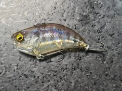 Level Vib B.I.G -The Fiy Fishers Fly Shop 20220929 101311