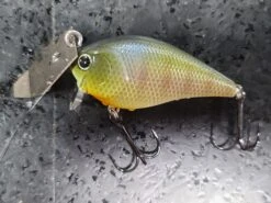 Lucky Craft LC 1.5BLD