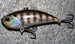 Apex Tune -The Fiy Fishers Fly Shop 20230223 181039