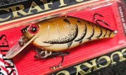 Lucky Craft Fat CB BDS Magic 40 Lucky Craft Fat CB BDS Magic -The Fiy Fishers Fly Shop 20230810 145131