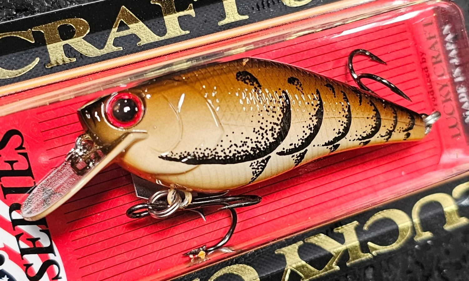 Lucky Craft Fat CB BDS Magic 21 Lucky Craft Fat CB BDS Magic - Image 19