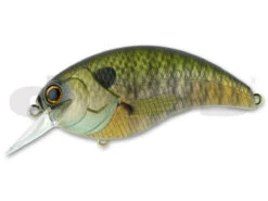 Evoke 4.0 -The Fiy Fishers Fly Shop 4.0 Scum perch