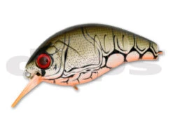 Korrigan Magnum -The Fiy Fishers Fly Shop 44 Orange Bellow Craw