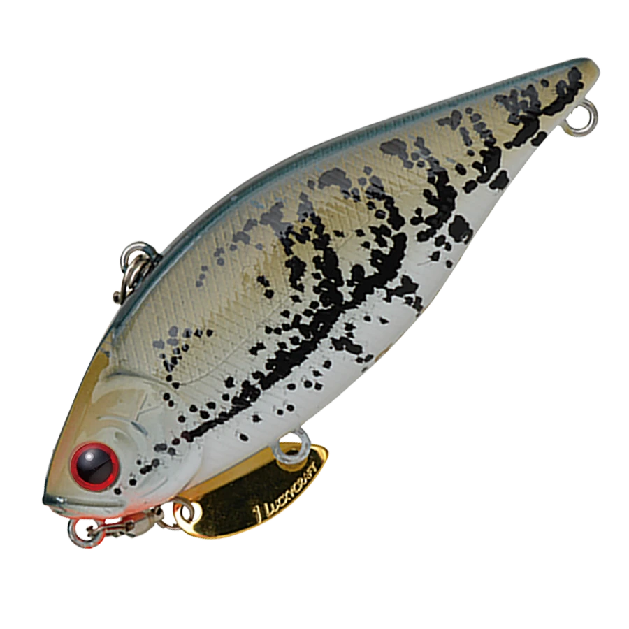 LV 500GP TG 10 LV 500GP TG - Image 8