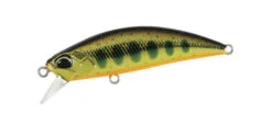 Spearhead Ryuki 50S -The Fiy Fishers Fly Shop 50S Gold Yamame