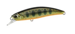 Spearhead Ryuki 60S -The Fiy Fishers Fly Shop 60S Gold Yamame