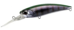 Realis Shad 62DR-SP