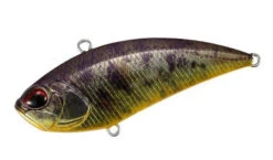Apex Tune -The Fiy Fishers Fly Shop 62ZpexASA3825TulePerch