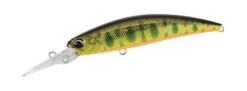 Spearhead Ryuki 70MDF -The Fiy Fishers Fly Shop 70MDFGoldYamame