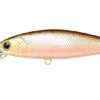 Lucky Craft BFreeze 85LB-F 1 Lucky Craft BFreeze 85LB-F -The Fiy Fishers Fly Shop 85LB Brown Trout