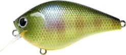 Lucky Craft FAT CB BDS 1 -The Fiy Fishers Fly Shop BDA1BEGill