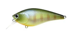 Lucky Craft Fat CB BDS Magic 24 Lucky Craft Fat CB BDS Magic -The Fiy Fishers Fly Shop BDSDMagicBEgill