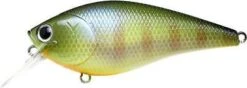 Lucky Craft Fat CB BDS 3 -The Fiy Fishers Fly Shop BDS 3 BE gill