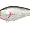 Lucky Craft Fat CB BDS 3 -The Fiy Fishers Fly Shop BDS 3 Golden Shiner