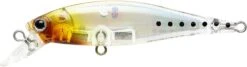 Lucky Craft BFreeze 65SP 28 Lucky Craft BFreeze 65SP -The Fiy Fishers Fly Shop BF65SP 1093 C