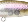 Lucky Craft Bevy Minnow -The Fiy Fishers Fly Shop BMNW45F 1885 C