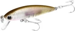 Lucky Craft Bevy Minnow -The Fiy Fishers Fly Shop BMNW45S 1885 H