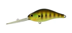 B-Switcher -The Fiy Fishers Fly Shop BSwitch3 Real Gill 1 6f91444d 326d 4047 86c8 eccb1130384b