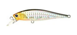 Lucky Craft BFreeze 65SP 24 Lucky Craft BFreeze 65SP -The Fiy Fishers Fly Shop B freeze 65 MS impulse shad