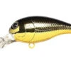 Lucky Craft Bevy Crank -The Fiy Fishers Fly Shop BevyCrank BlackGold600