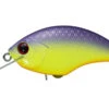 Rattling Blitz -The Fiy Fishers Fly Shop BlitzChartreusepurple
