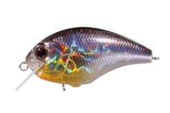 Tiny Blitz -The Fiy Fishers Fly Shop BlitzH09