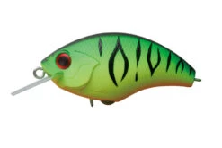 Rattling Blitz -The Fiy Fishers Fly Shop BlitzMatTiger