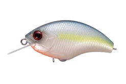 Rattling Blitz -The Fiy Fishers Fly Shop BlitzSexyShad