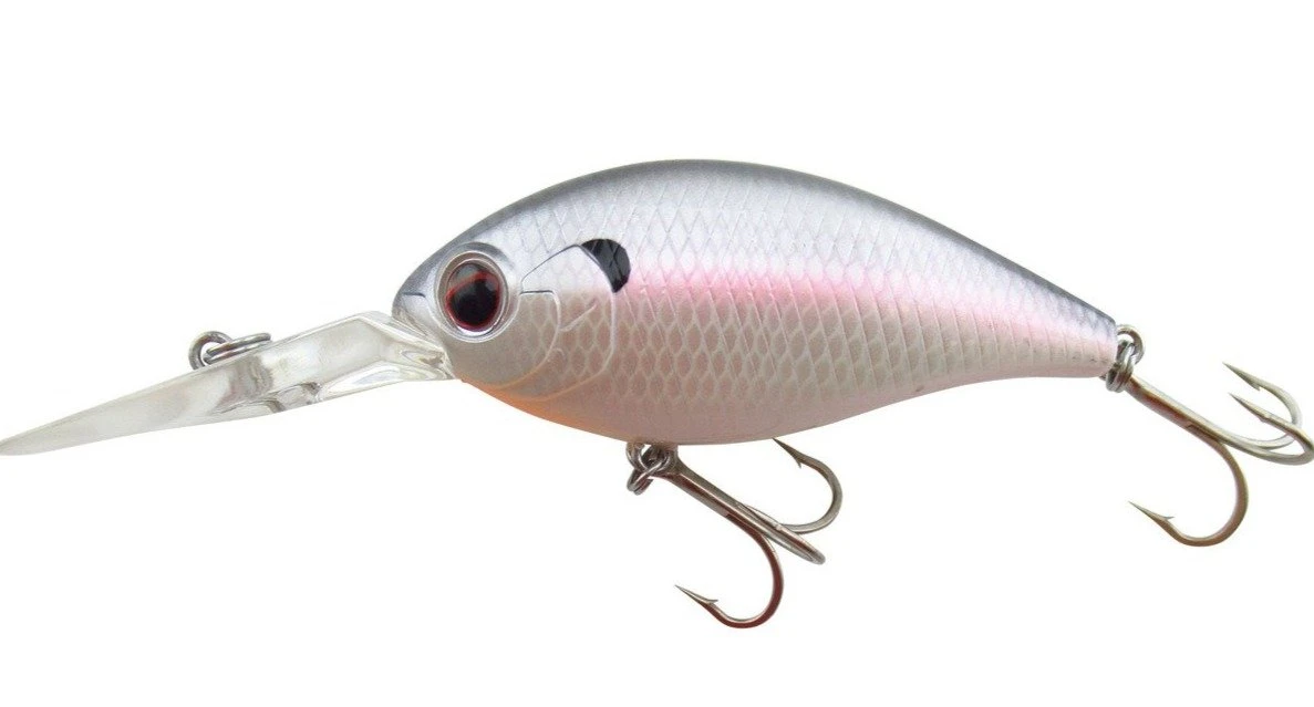 CR-8 Crankbaits 13 CR-8 Crankbaits - Image 11