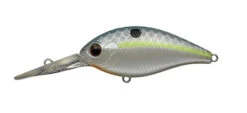 CR-10 Crankbaits -The Fiy Fishers Fly Shop CR10queenshad