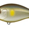 CR-2 Crankbaits