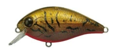 CR-2 Crankbaits -The Fiy Fishers Fly Shop CR2 Olive Craw 1