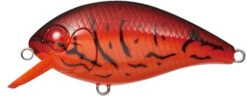 CR-4 Crankbaits -The Fiy Fishers Fly Shop CR4 Fire Craw