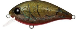 CR-4 Crankbaits -The Fiy Fishers Fly Shop CR4 Olive Craw