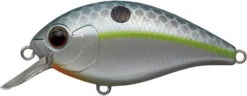 CR-4 Crankbaits -The Fiy Fishers Fly Shop CR4 Queen Shad