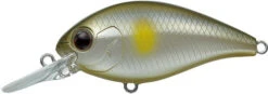 CR-6 Crankbaits