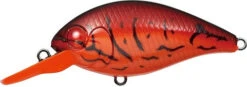 CR-6 Crankbaits 20 CR-6 Crankbaits -The Fiy Fishers Fly Shop CR6 Fire Craw