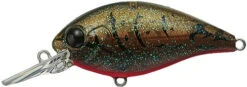 CR-6 Crankbaits 21 CR-6 Crankbaits -The Fiy Fishers Fly Shop CR6 Olive Craw