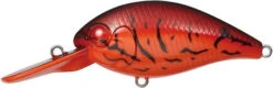 CR-8 Crankbaits 20 CR-8 Crankbaits -The Fiy Fishers Fly Shop CR8 Fire Craw
