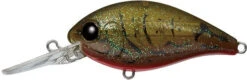 CR-8 Crankbaits 21 CR-8 Crankbaits -The Fiy Fishers Fly Shop CR8 Olive Craw