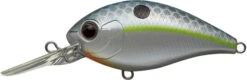 CR-8 Crankbaits 22 CR-8 Crankbaits -The Fiy Fishers Fly Shop CR8 Queen Shad 1