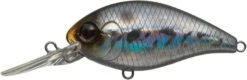 CR-8 Crankbaits 23 CR-8 Crankbaits -The Fiy Fishers Fly Shop CRHologramWakasagi