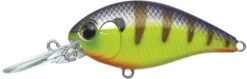 CR-8 Crankbaits 24 CR-8 Crankbaits -The Fiy Fishers Fly Shop CROKChartreuse
