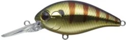 CR-8 Crankbaits 25 CR-8 Crankbaits -The Fiy Fishers Fly Shop CROkGold