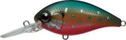 CR-6 Crankbaits 27 CR-6 Crankbaits -The Fiy Fishers Fly Shop CR Pumpkinseed
