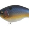 Chippawa RB Slow Float -The Fiy Fishers Fly Shop Chippawa Black Shad 1