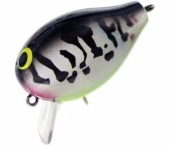 Corot SR -The Fiy Fishers Fly Shop CorotWhitecoachDog