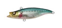 Megabass Cutvib -The Fiy Fishers Fly Shop Cutvib GLX iwashi