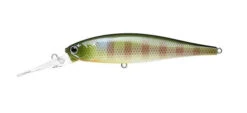 Lucky Craft Pointer 100DD -The Fiy Fishers Fly Shop DD BE Gill